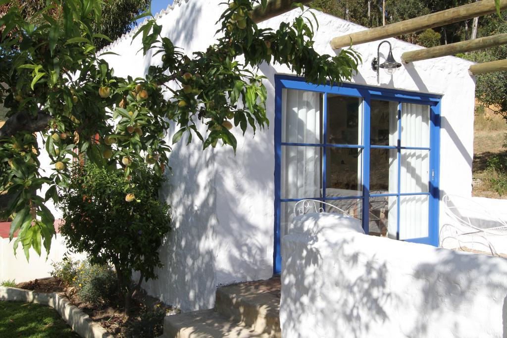 툴바흐 Oudekloof Wine Estate 빌라 외부 사진